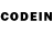 МЕФ мяу мяу Wendelin Kessler