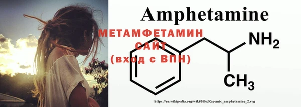 шишки Абаза