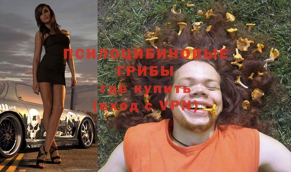 шишки Абаза