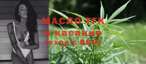 шишки Абаза
