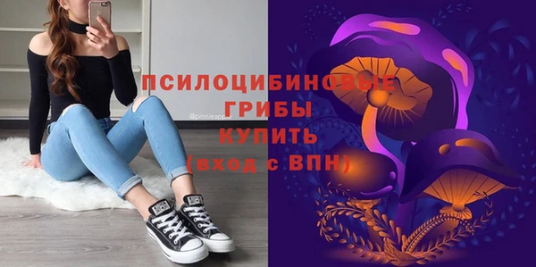 амф Протвино