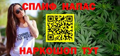 индика Нягань