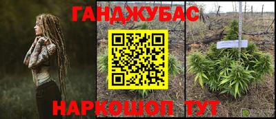 индика Нягань