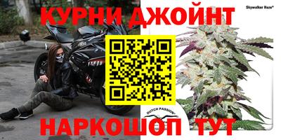 индика Нягань