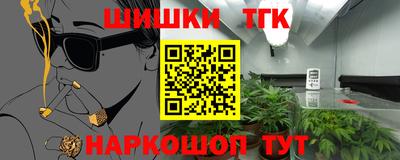 индика Нягань